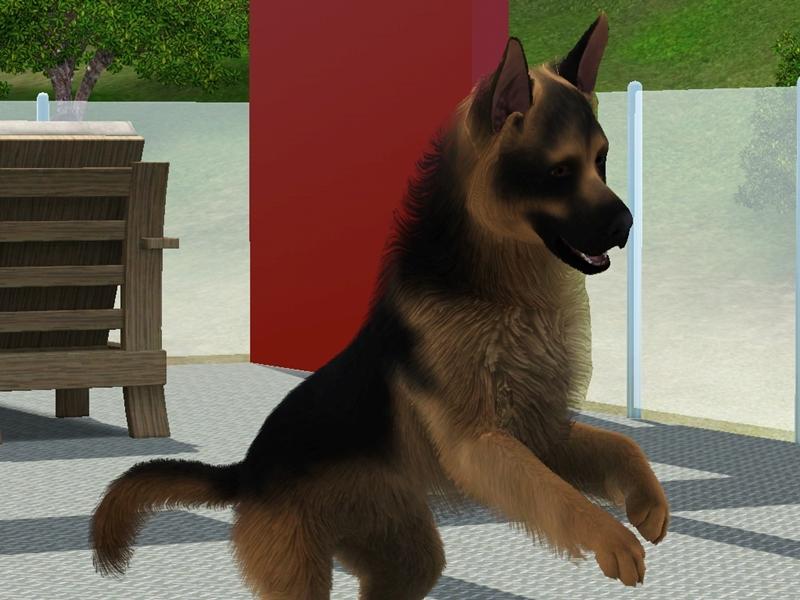 How To Make Puppies In Sims 2 Pets