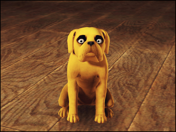 http://www.thesimsresource.com/downloads/details/category/sims3-pets-dogs/title/jake-the-dog/id/1237283/