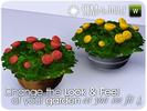 SIMcredible Gaia 5 by SIMcredible! - Click to view and download separately!