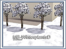 MB-WinterplantsD by matomibotaki - Click to view and download separately!
