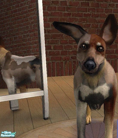 Sims 2 — All-Hearing...Thing by architrom — Large ears. Random coat. Sweet dog.