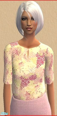 Sims 2 — BFS Elder Super Set - BFSETop9 by Basic....For Sims — A pretty print top for your Elders. Enjoy!