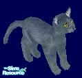 Sims 1 — Dante by Downy Fresh — Just your basic grey kitty with yellow eyes. Modelled after my brother\'s cat, made for