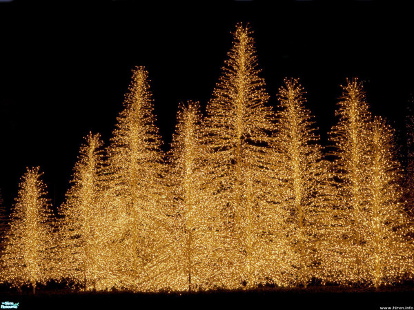 Sims 2 — Winter Wonderland Wall Mural by TrailRunner782 — A beautiful winter wonderland scene from Texas.