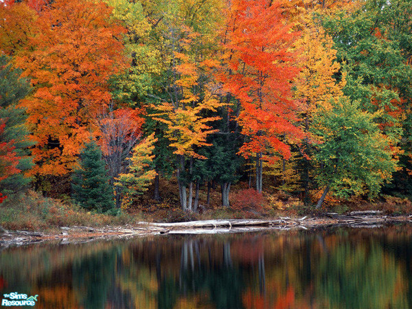 Sims 2 — Nature Picture Set - 2 by Marinarolle — 