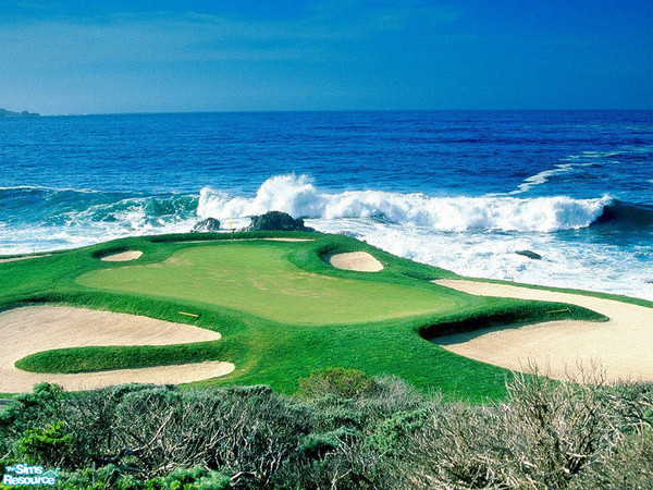 Sims 2 — Nature Picture Set - 3 by Marinarolle — 