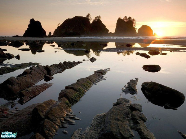 Sims 2 — Nature Picture Set - 17 by Marinarolle — 