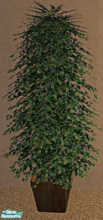 Sims 2 — TC121- Pretty Lounge RC- Fig Plant by mom_of2boyz — A recolor of Simtomatics\' Pretty Lounge Set. The textures