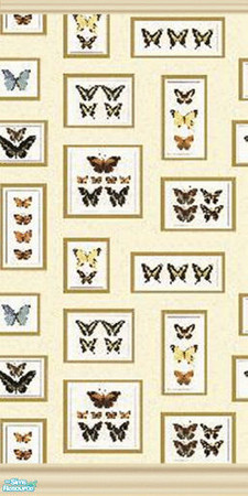 Sims 2 — Butterfly Wall 3 by katalina — Beautiful butterfly wall plagues. Enjoy!