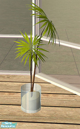 Sims 2 — Viva - plant by steffor — 
