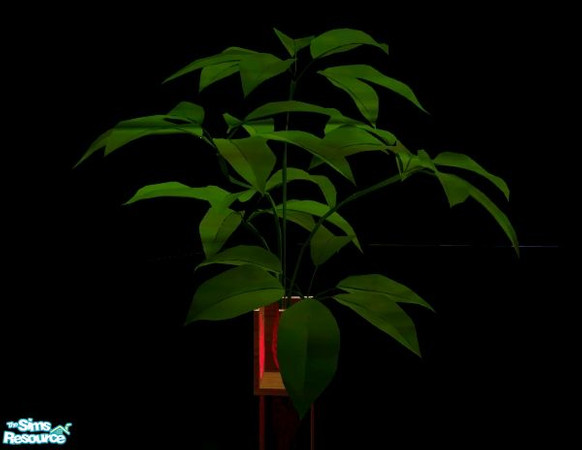 Sims 2 — Adagio dining - plante by kibanahnah — a potted plante