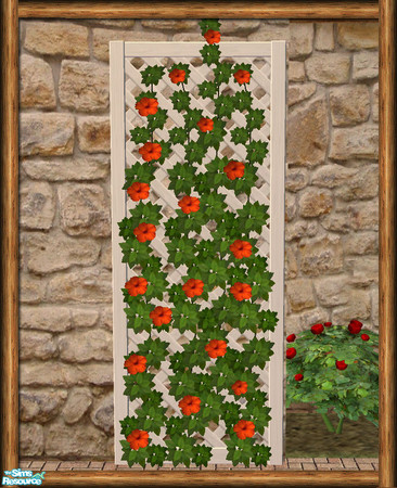 Sims 2 — Cottage Wall Trellis - Mesh by Shakeshaft — Part of a set of Cottage Style Windows and Doors, with Sandstone