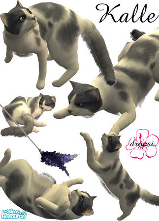 Sims 2 — S2LB - Kalle by Dropsi1986 — **ENJOY**