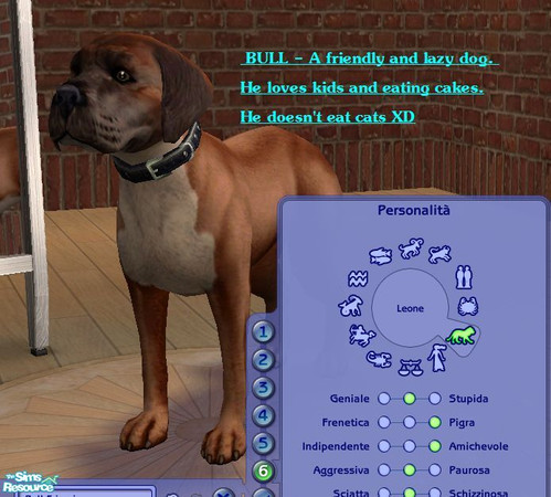 Sims 2 — Bull by damnanoir — This is one of my two dogs in real life. He\'s friendly and lazy. He loves eating