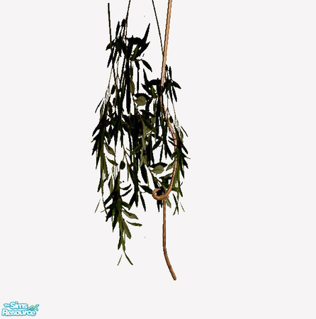 Sims 2 — Pronto - wall plant by steffor — 