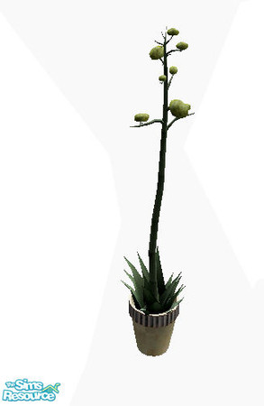 Sims 2 — Eat - plant by steffor — 