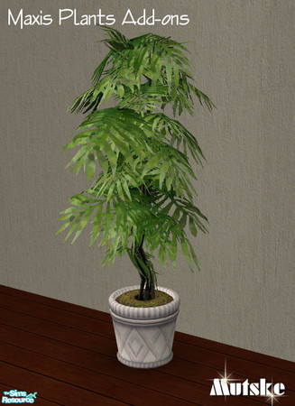 Sims 2 — Maxis Plants Add-ons - Palm by Mutske — 
