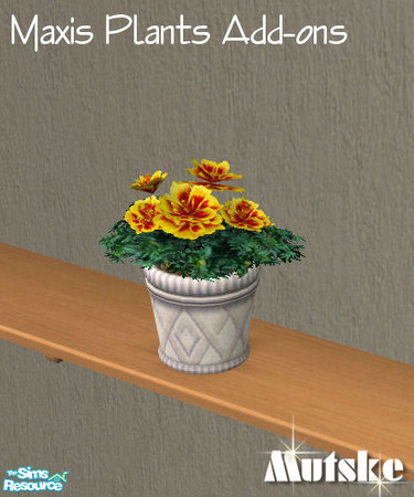Sims 2 — Maxis Plants Add-ons - Marigoldpotted by Mutske — 