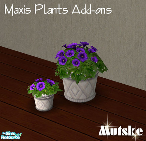 Sims 2 — Maxis Plants Add-ons II - Potted petunias Purple by Mutske — 