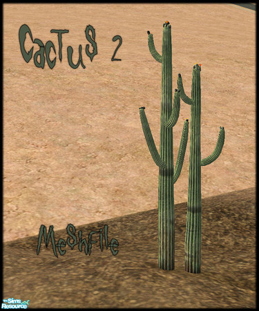Sims 2 — Cactus 2 by JenniferNine — 