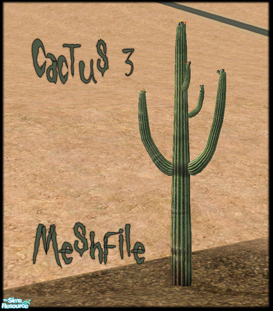 Sims 2 — Cactus 3 by JenniferNine — 