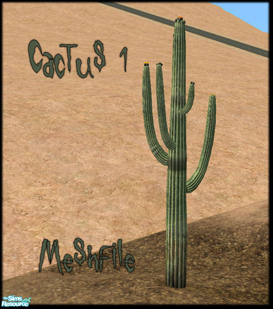 Sims 2 — Cactus 1 by JenniferNine — 