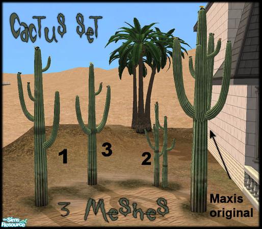 Sims 2 — Cactus Set by JenniferNine — 