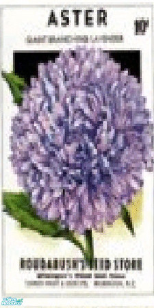 Sims 2 — JAM_Aster Seed Packet by grandmajam_of6 — Made a series of wallpapers for my April builders challenge 2009.
