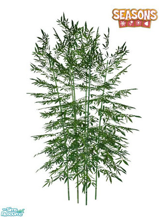 Sims 2 — Bamboo SEASONS - Recolor Dark by Murano — Dark bamboo recolor.