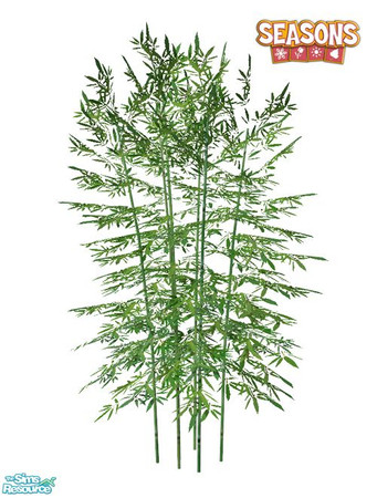 Sims 2 — Bamboo SEASONS - Recolor Light by Murano — Light bamboo recolor.