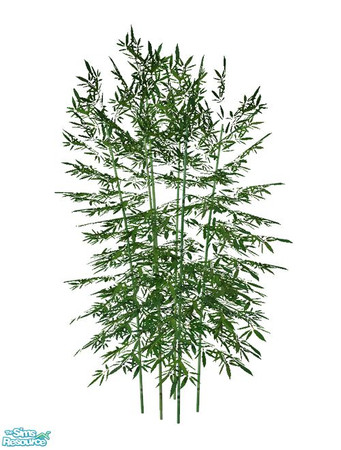 Sims 2 — Bamboo BASE GAME - Recolor Dark by Murano — Dark bamboo recolor.