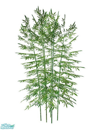 Sims 2 — Bamboo BASE GAME - Recolor Light by Murano — Light bamboo recolor.