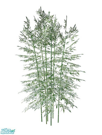 Sims 2 — Bamboo BASE GAME - Recolor Snow by Murano — Snow bamboo recolor.