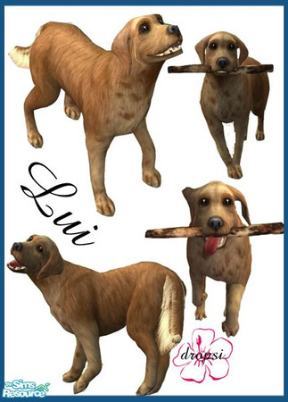 Sims 2 — S2LB - Lui by Dropsi1986 — *ENJOY*