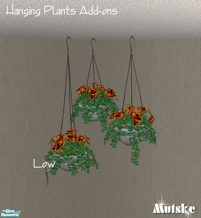Sims 2 — Maxis Plants Add-ons III - Hanging Ivy & Pansy I by Mutske — 