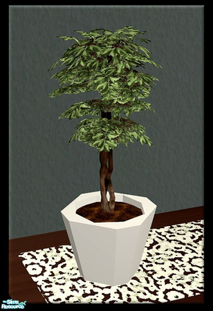 Sims 2 — Jory Dining Room Plant by SaeraMaples — Artsy but comfortable eating area.