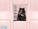 Sims 2 — Dog Started It  by humanwarlock — Cat in jail because it was fighting with a dog and the cat got in trouble. 