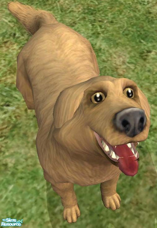 Sims 2 — Dug the nerd dog from Pixar\'s Movie Up by Freelance_Wolf — Here\'s a Sim version of Dug the mutt from