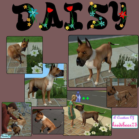 Sims 2 — DAISY by hiedibear75 — Daisy is quite large it\'s true.....but the biggest part of her is her heart.