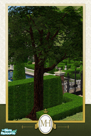 Sims 2 — MH Garden Great Oak by phoenix_phaerie — A large oak tree that is a perfect addition to any sprawling lawn. 