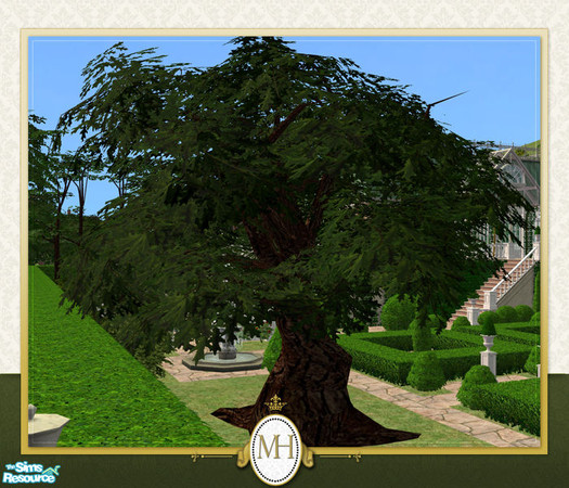 Sims 2 — MH Garden Mighty Oak by phoenix_phaerie — An aged, twisted oak tree that is a perfect addition to any sprawling