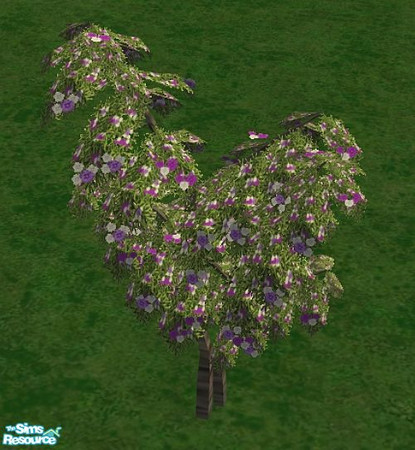 Sims 2 — Backyard Paradise - Brunfelsia by SaeraMaples — Build your own backyard getaway.