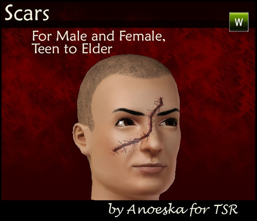 Sims 3 — Scar 3 by AnoeskaB — Face scar for male and female, from teen to elder. Has 3 recolorable layers and can be