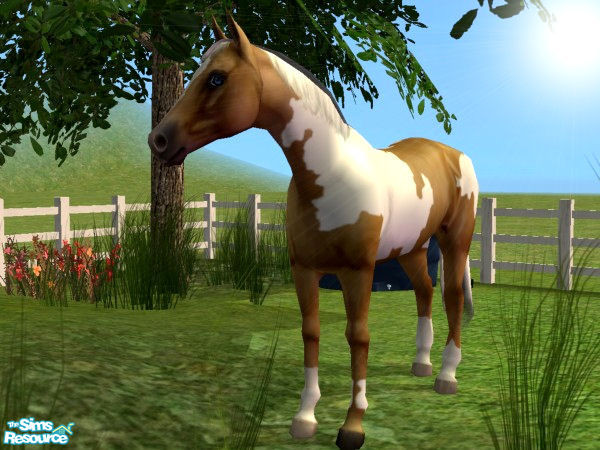 Sims 2 — Basic Paint Horse Set - Palomino Paint by xtinabobina — 