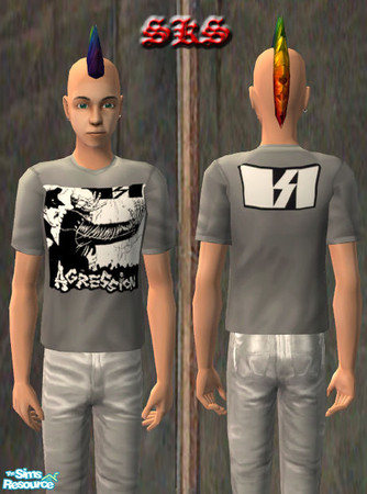 Sims 2 — TMT_SKS_UnTuck-T_Punk-Agression by 71robert13 — Gray Untucked T-shirt for teen males featuring the logo and