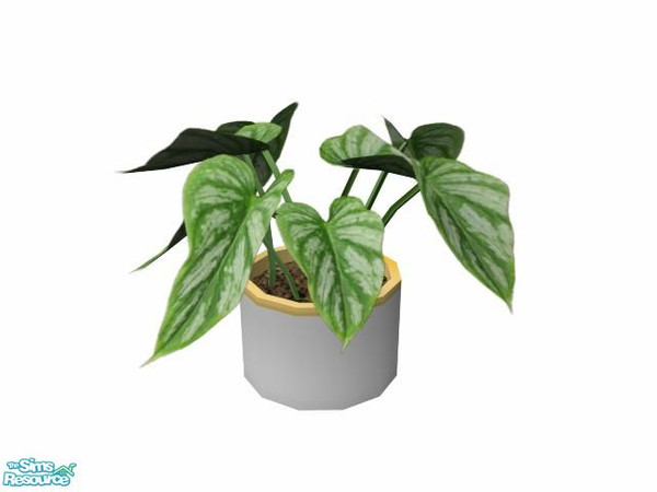 Sims 2 — Solice Bedroom - Plant by sim_man123 — Plant from my Solice Bedroom.