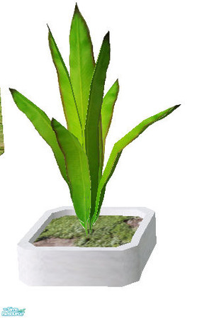 Sims 2 — Outdoorarea - banana plant by steffor — 