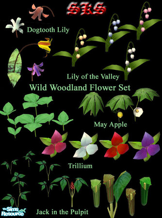 Sims 2 — Wild Woodland Plants Set by 71robert13 — A set of 5 plants that grow wildly on the forest floor. They typically