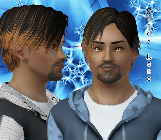 Sims 3 — Shady Lane by stori_64 — He's got all it takes to make it. He has all right moves to fake it. He'll have you