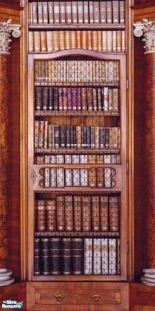 Sims 2 — Books by DarkBorderR — Do it yourself, not perfect.